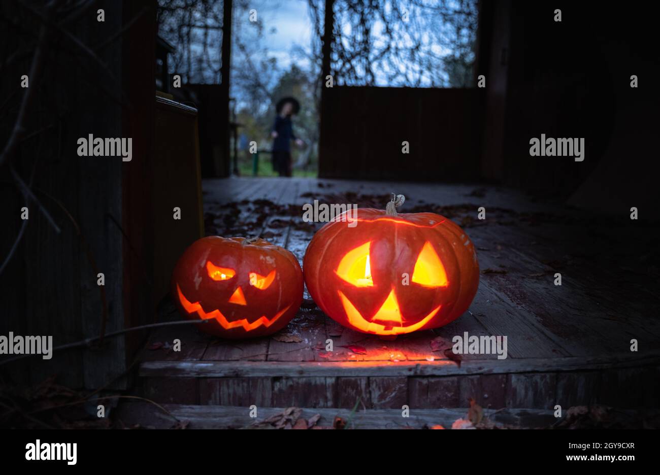 Jack-o-lanterne à la main fait de grandes citrouilles avec des bougies dans les yeux, le nez, la bouche.Celebratiion de vacances d'halloween.Couper avec couteau, sortir la pulpe avec Banque D'Images