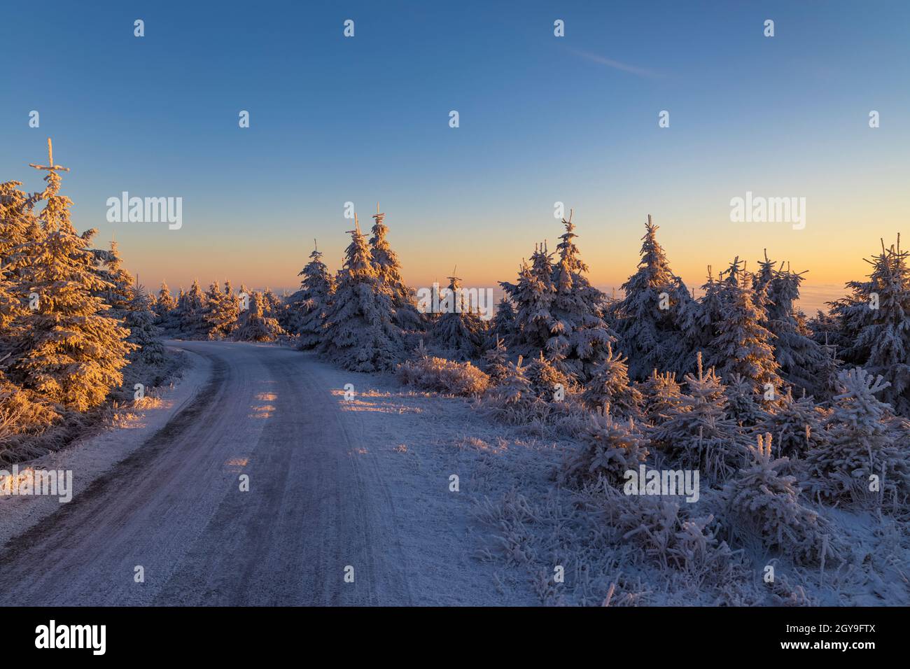 Lever du soleil en hiver près de Velka Destna, Orlicke, Bohême de l'est, République tchèque Banque D'Images