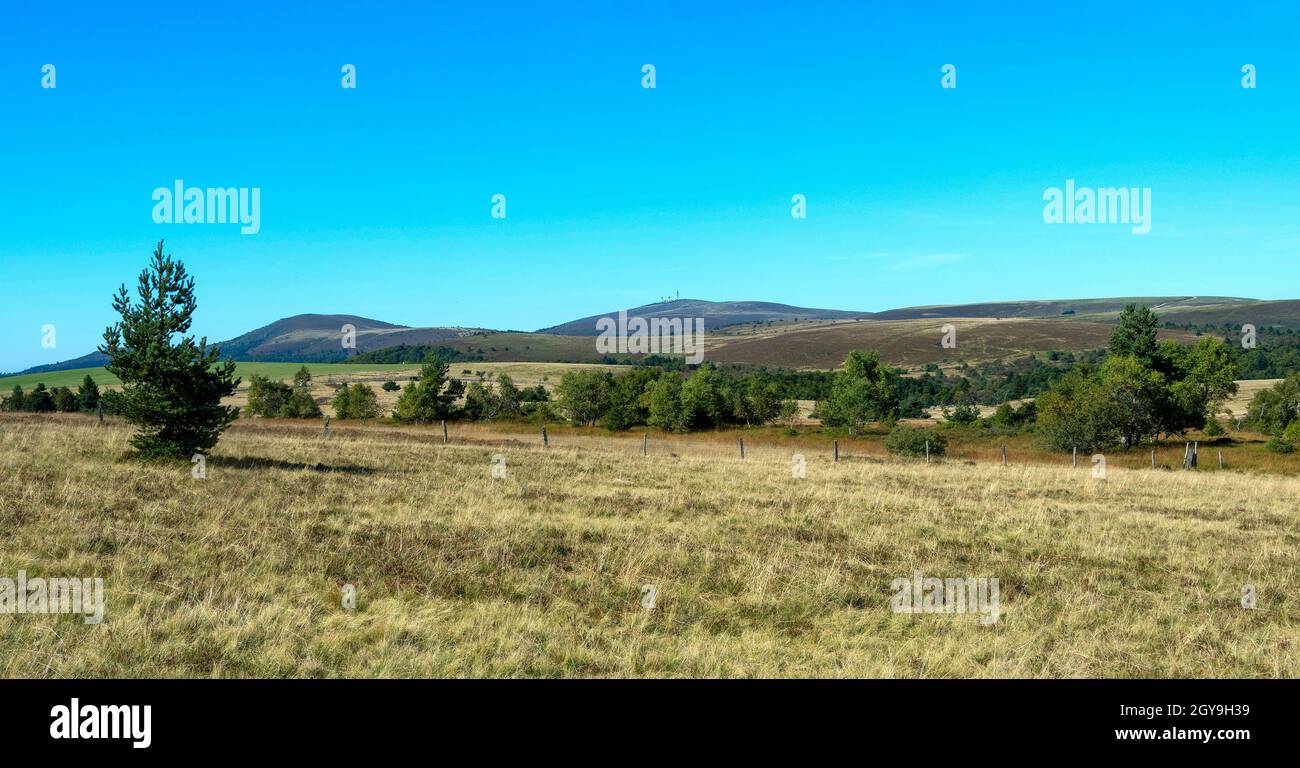 Col des Supeyres, landes des Hautes Chaumes, Parc naturel régional Livradois-Forez, département du Puy de Dôme, Auvergne-Rhône-Alpes, France Banque D'Images