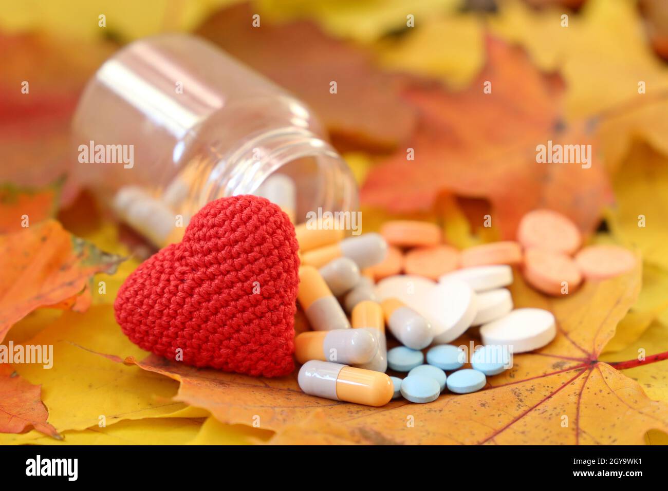 Hypertension, cardiopathie et cardiologie Pryncep.Coeur rouge tricoté et pilules sur les feuilles d'érable d'automne, foyer sélectif Banque D'Images