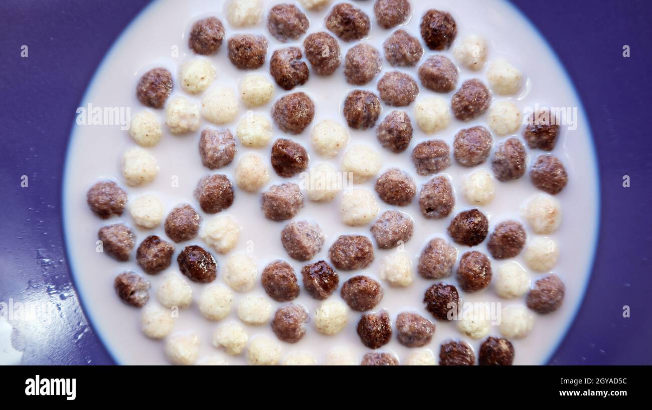 Petit Dejeuner Sain Avec Du Lait Sur La Table Dans Une Assiette Profonde Chocolat Au Grain Entier Et Boules De Lait Petit Dejeuner Sain De Cereales Petit Dejeuner Pour Les Enfants Bebe F Photo Stock Alamy