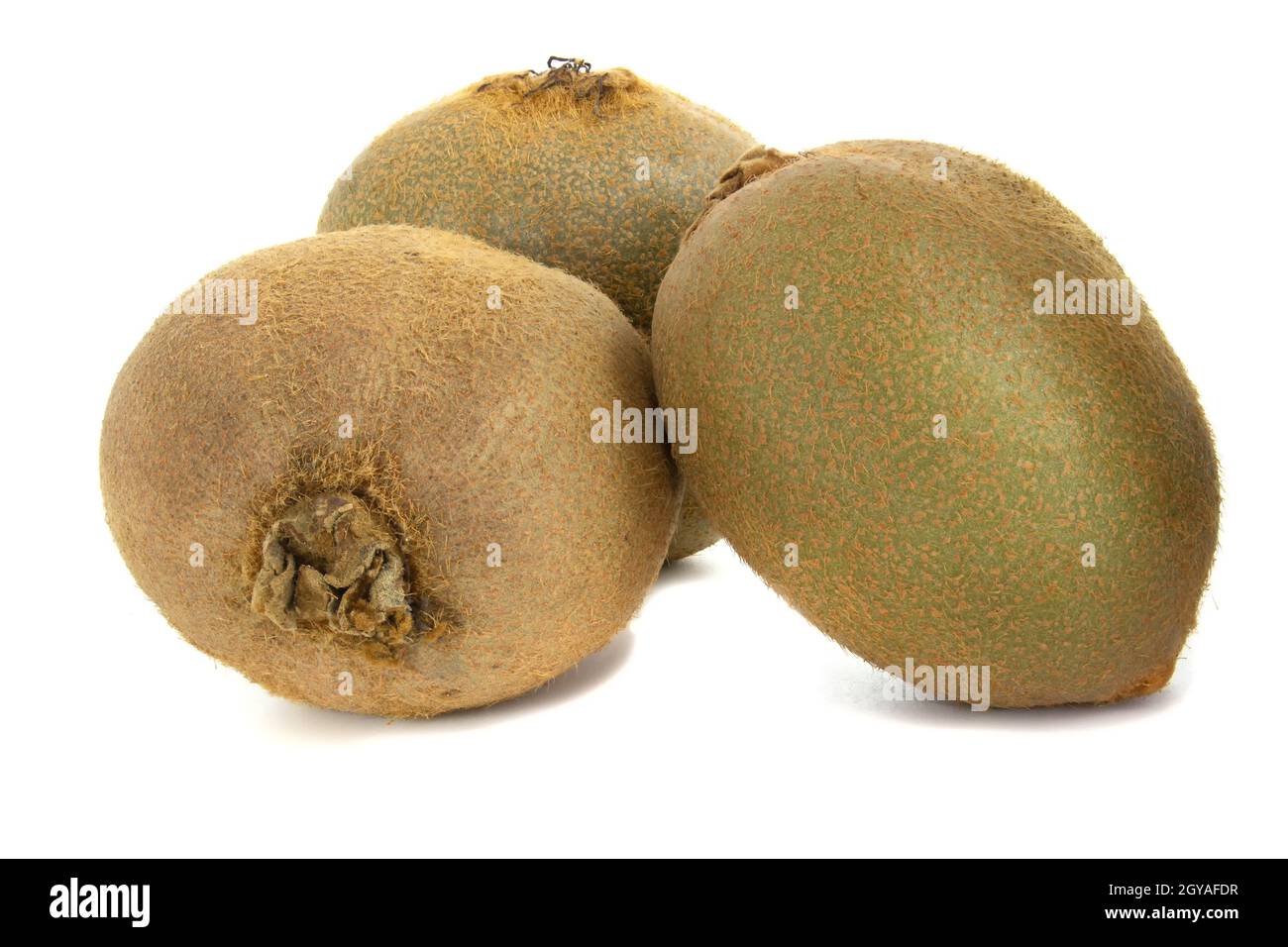 Trois kiwis gros plan, fruits isolés sur fond blanc Banque D'Images