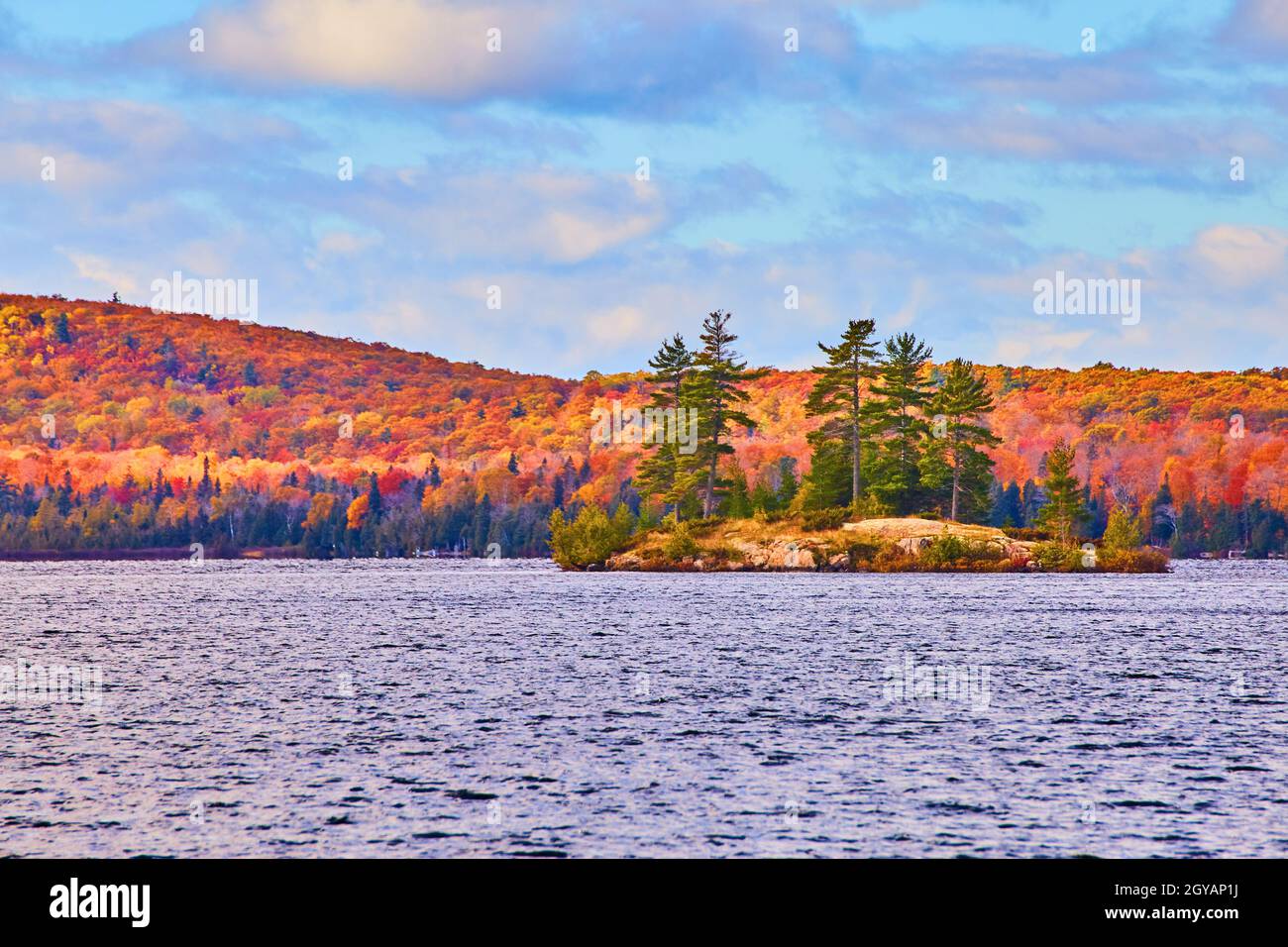 Petite île de pins au sommet d'une roche avec une forêt d'automne derrière elle et un lac bâclé Banque D'Images