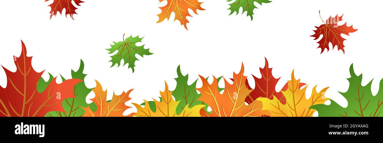 Feuilles d'érable d'automne réalistes sur fond blanc - illustration vectorielle Banque D'Images
