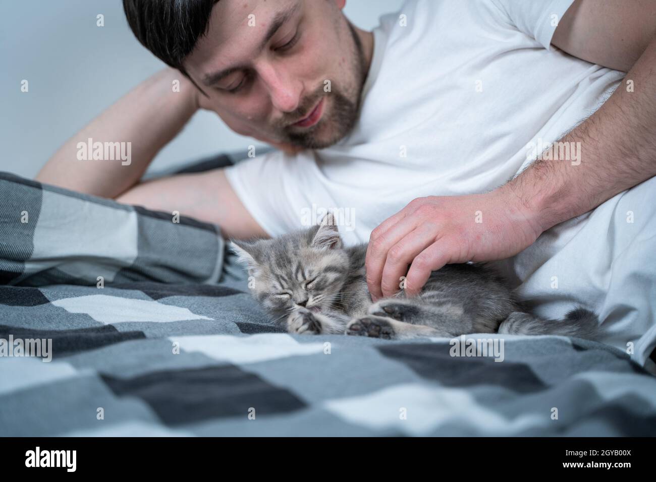 Le Theme Est L Amour Le Soin Et La Protection Des Animaux De Compagnie Homme Se Bassiant Dans Le Lit Avec Bebe Gris Scottish Straight Chat Les Males Calins Et Coups De Chat A La