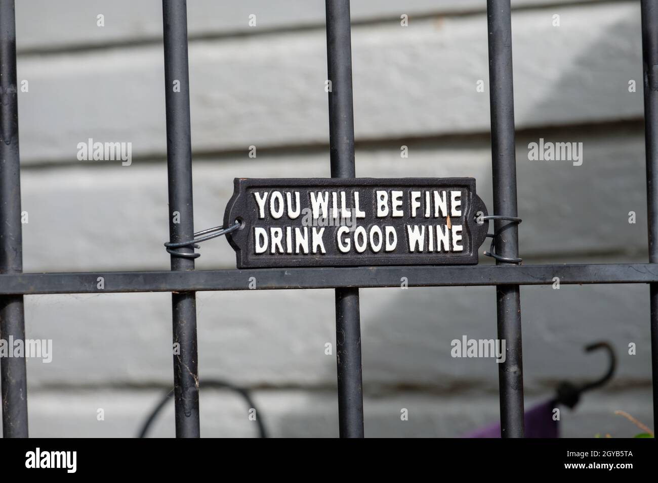Vous serez bon verre de bon vin Banque D'Images