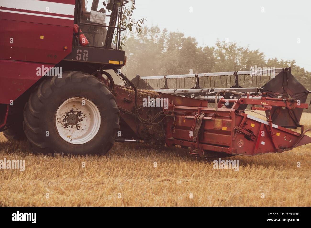 Moissonneuse-batteuse dans le champ. Gros plan d'un rabatteur. Saison de récolte. Seigle et orge. Banque D'Images