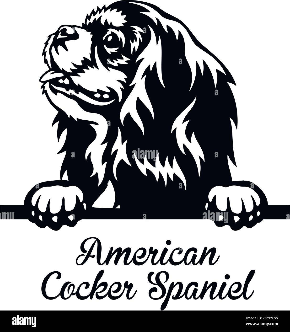 American Staffordshire Terrier Peeking Dog - tête isolée sur blanc - vecteur stock Illustration de Vecteur