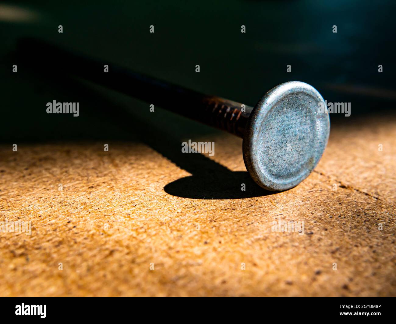 Repassez les clous sur une macro-photo de table en bois. Tête de clou. Pointe pointue. Matériau du raccord. Arrière-plan en bois. Photographie macro. Image d'arrière-plan. Placer pour t Banque D'Images