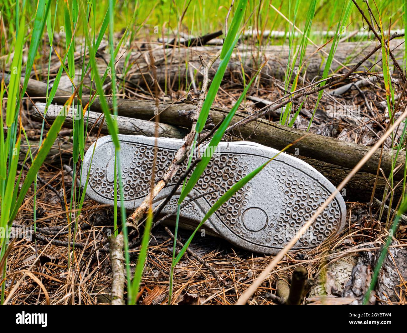 Les semelles en caoutchouc des chaussures de sport jetées dans la forêt. Semelle de chaussure. Matériau en caoutchouc herbe verte. Aiguilles de pin. Protection de l'environnement. Écologie Banque D'Images