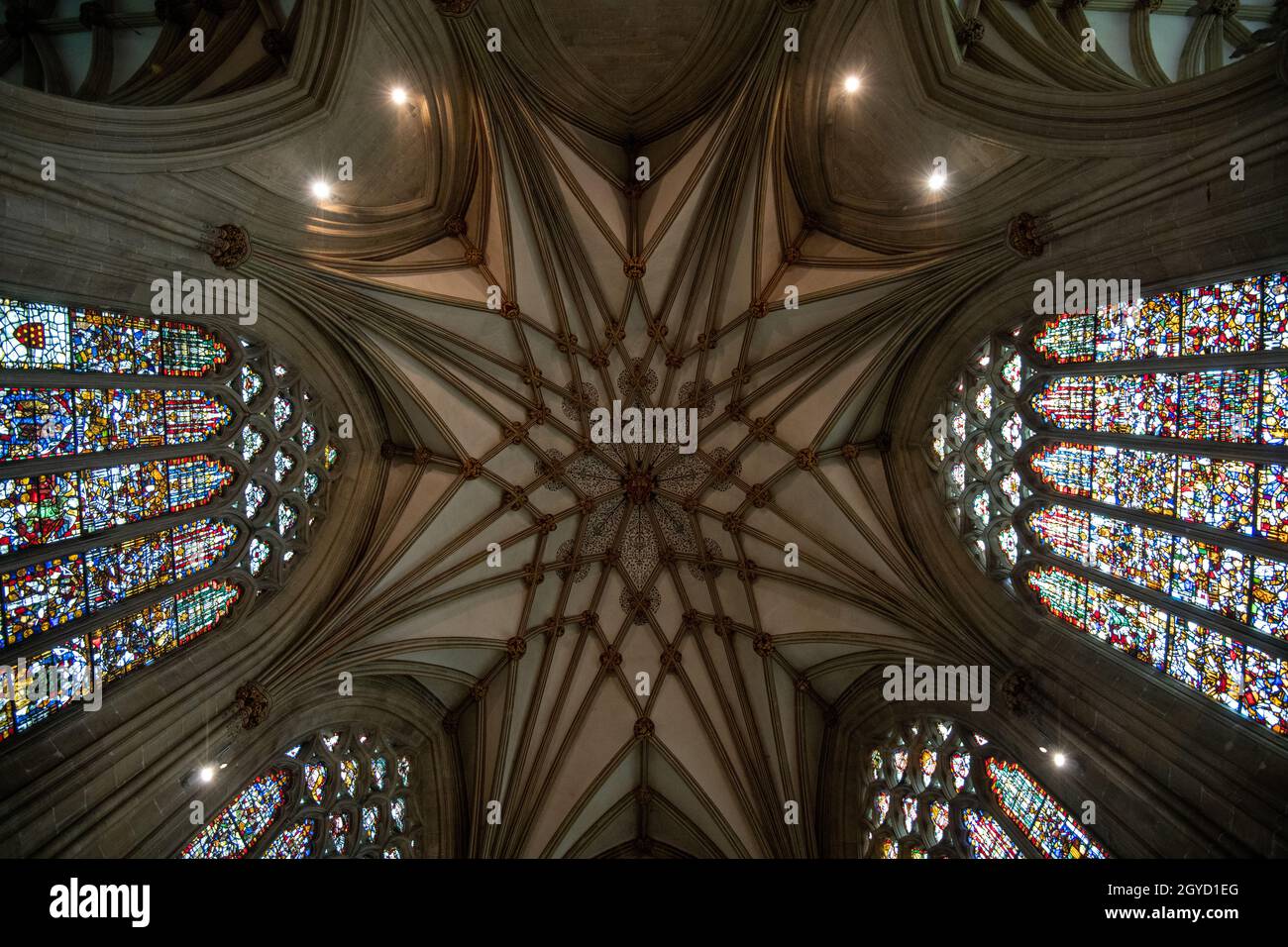 Magnifique « Jesse Window » à la cathédrale de Wells, représentant un arbre de Jesse et présentant la famille et les ancêtres du Christ. Banque D'Images