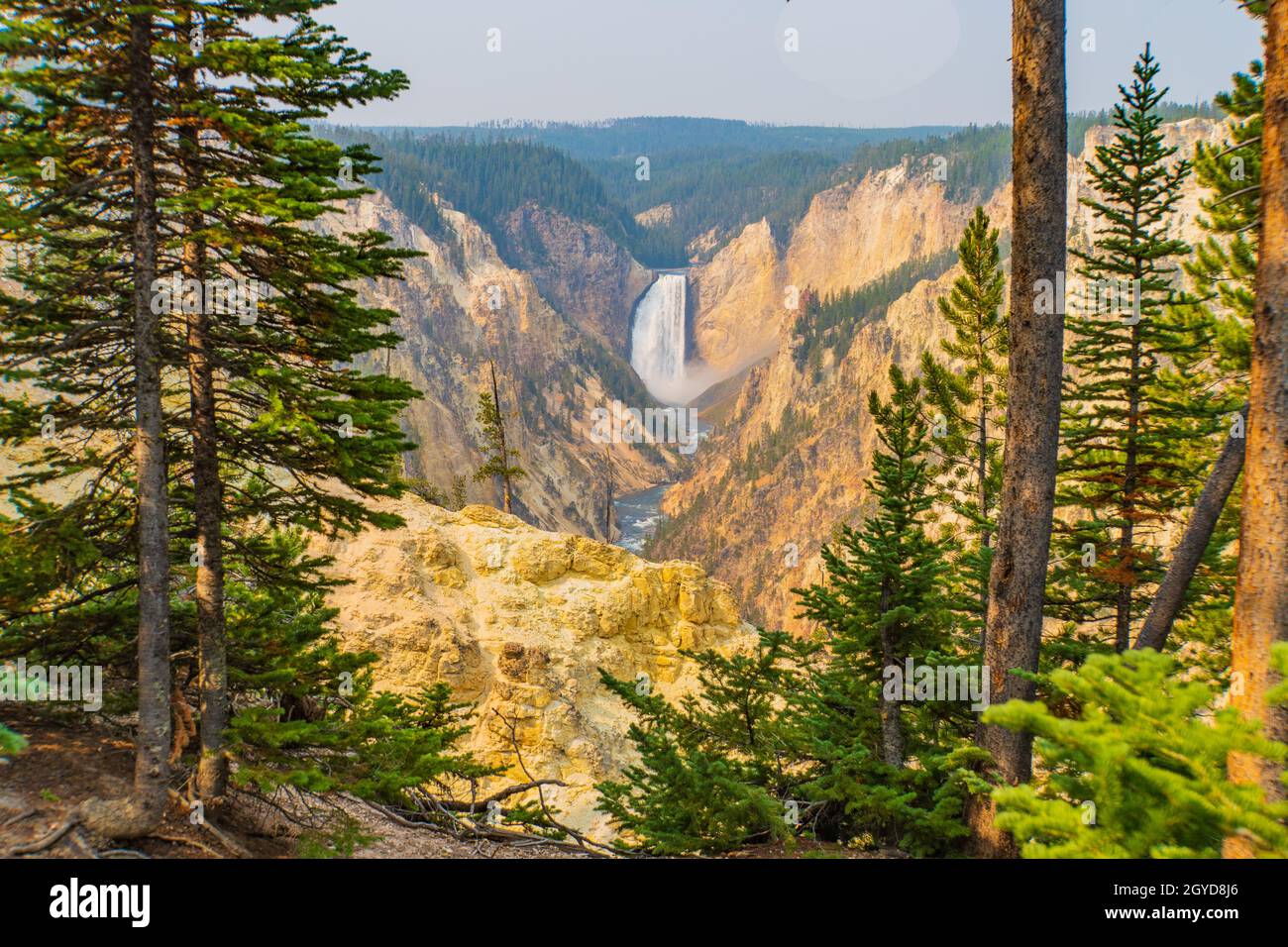 Vue depuis Artist point du Grand Canyon de la rivière Yellowstone avec ses multiples couches de pierre Banque D'Images