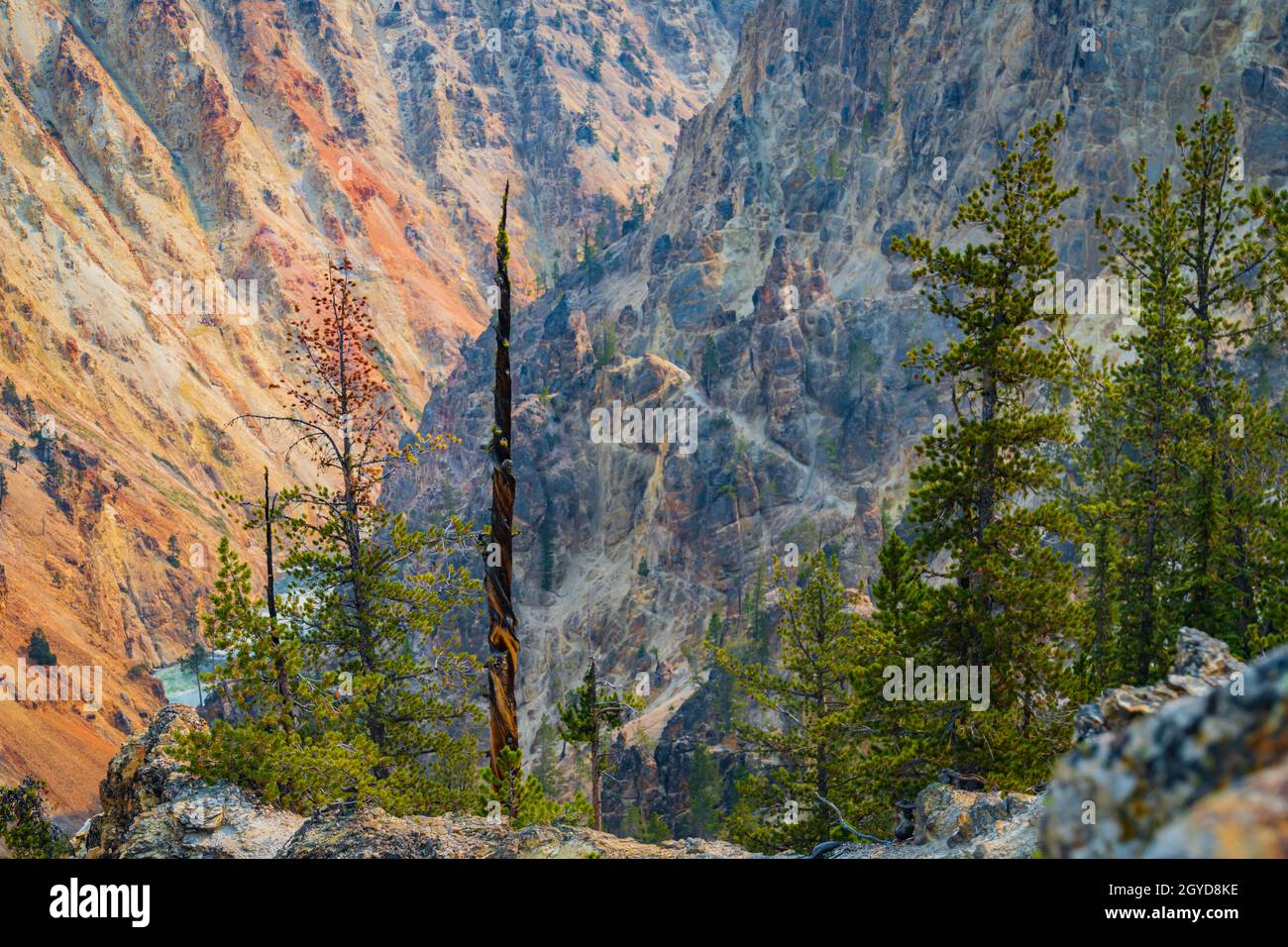 Vue depuis Artist point du Grand Canyon de la rivière Yellowstone avec ses multiples couches de pierre Banque D'Images