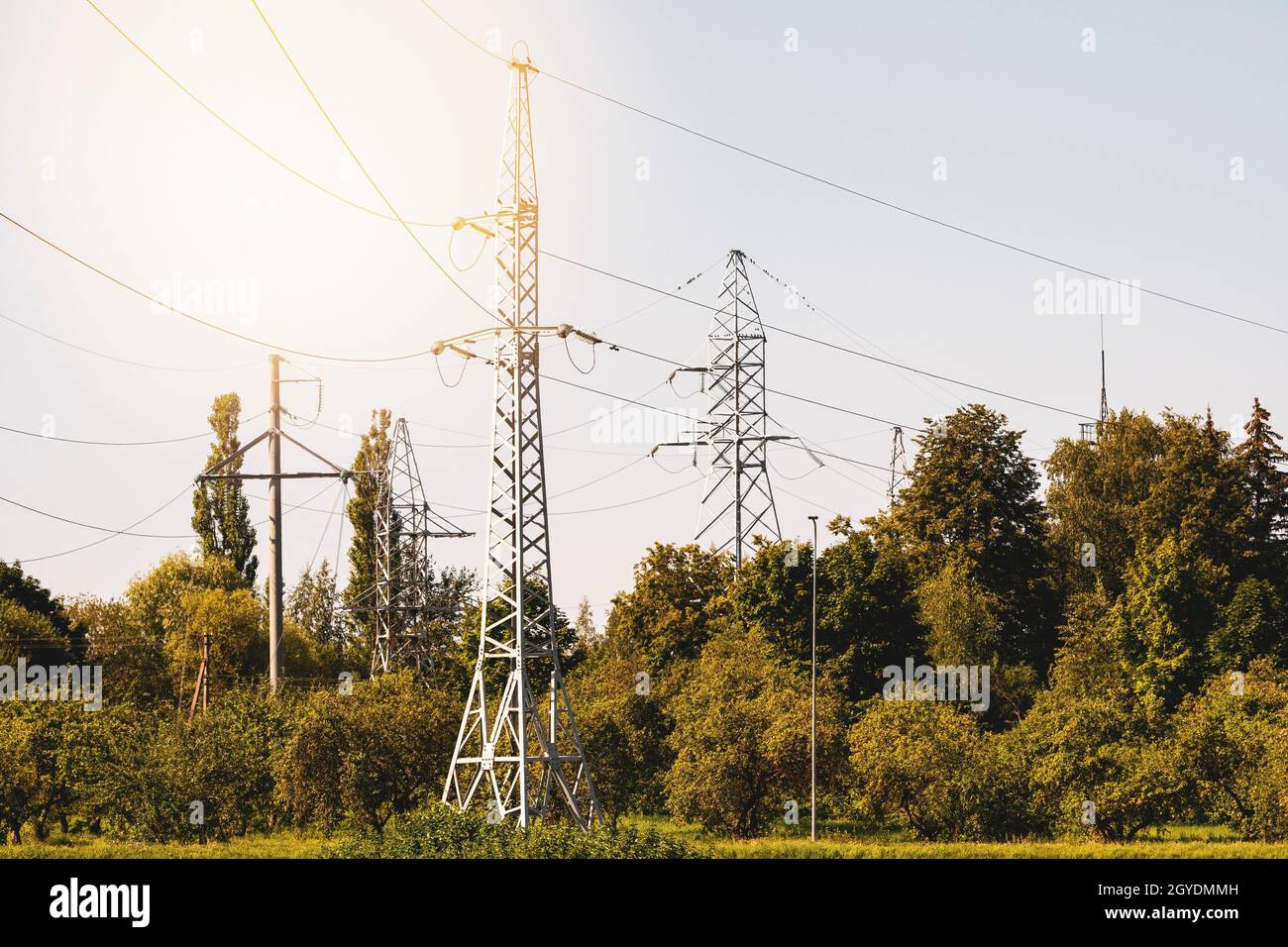 Paysage avec forêt et électricité, ligne électrique, tour avec câbles. Pôles de puissance d'une ligne haute tension dans la forêt Banque D'Images