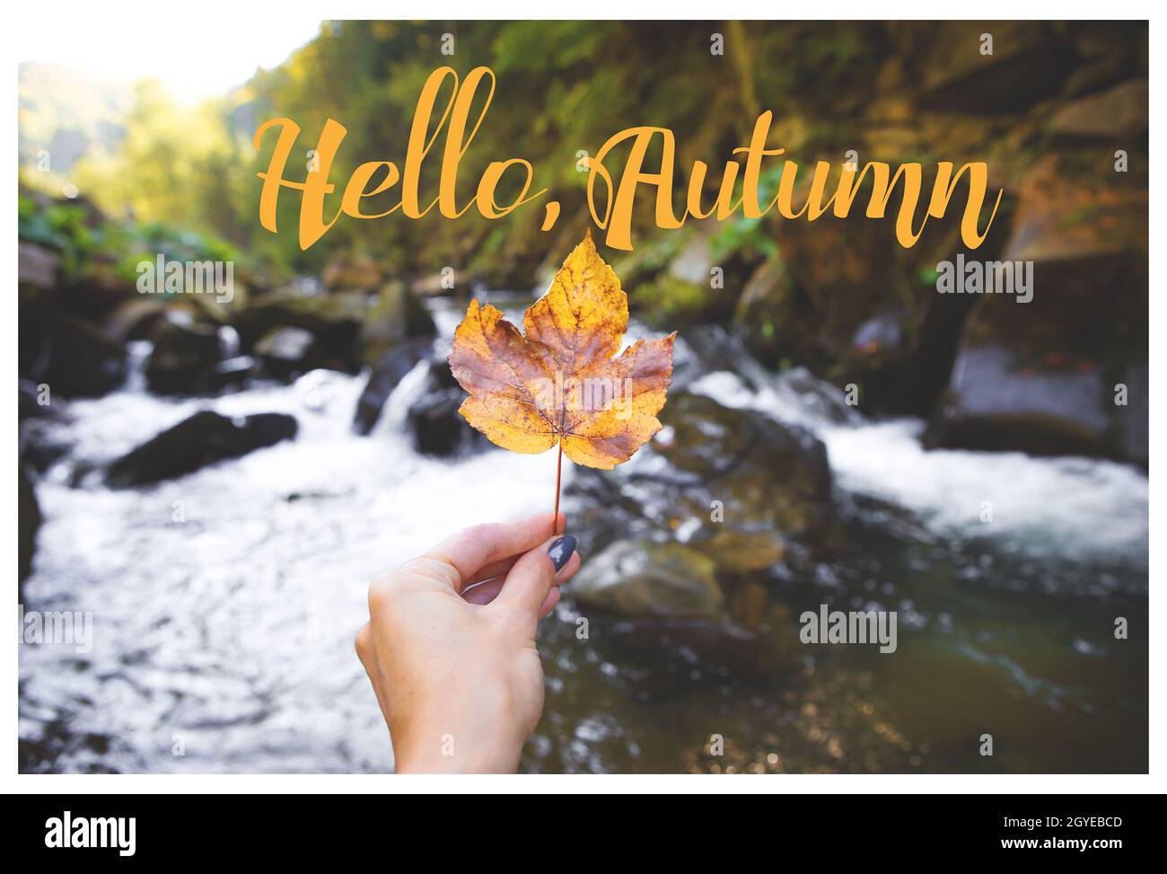 Automne dans les Carpates. Une fille tient une feuille d'érable sur le fond d'une rivière. Inscription Joyeux automne. Banque D'Images