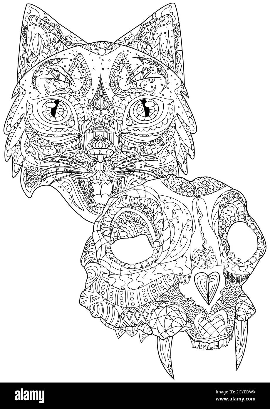 Tête Cat face à l'avant et crâne félin mort avec dessin de ligne de Fangs. Banque D'Images