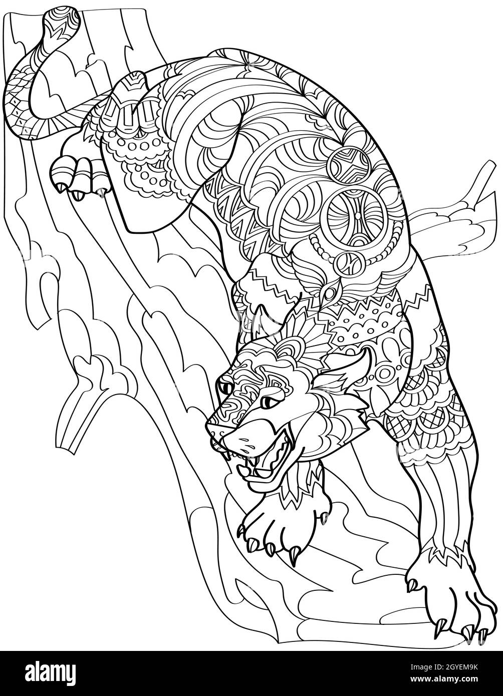 Véhicule Jaguar en colère dans un coffre d'arbre présentant un dessin de ligne incolore Fangs. Banque D'Images