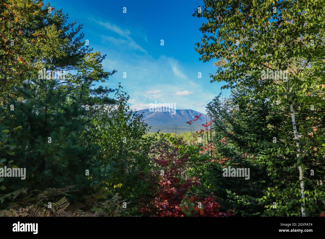 Katahdin dans le parc national Baxter au début de l'après-midi d'automne Banque D'Images