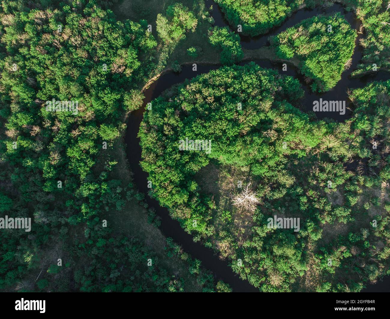 Tir de drone aérien de paysage d'été de juin avec rivière Banque D'Images