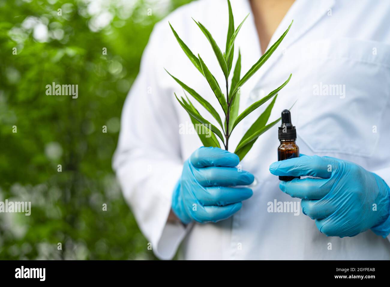 Médecins scientifiques tenant une bouteille de produit végétal d'huile d'herbe, le dosage de gouttelettes, la biologie et l'écologie alternative médecine de la nature. Banque D'Images