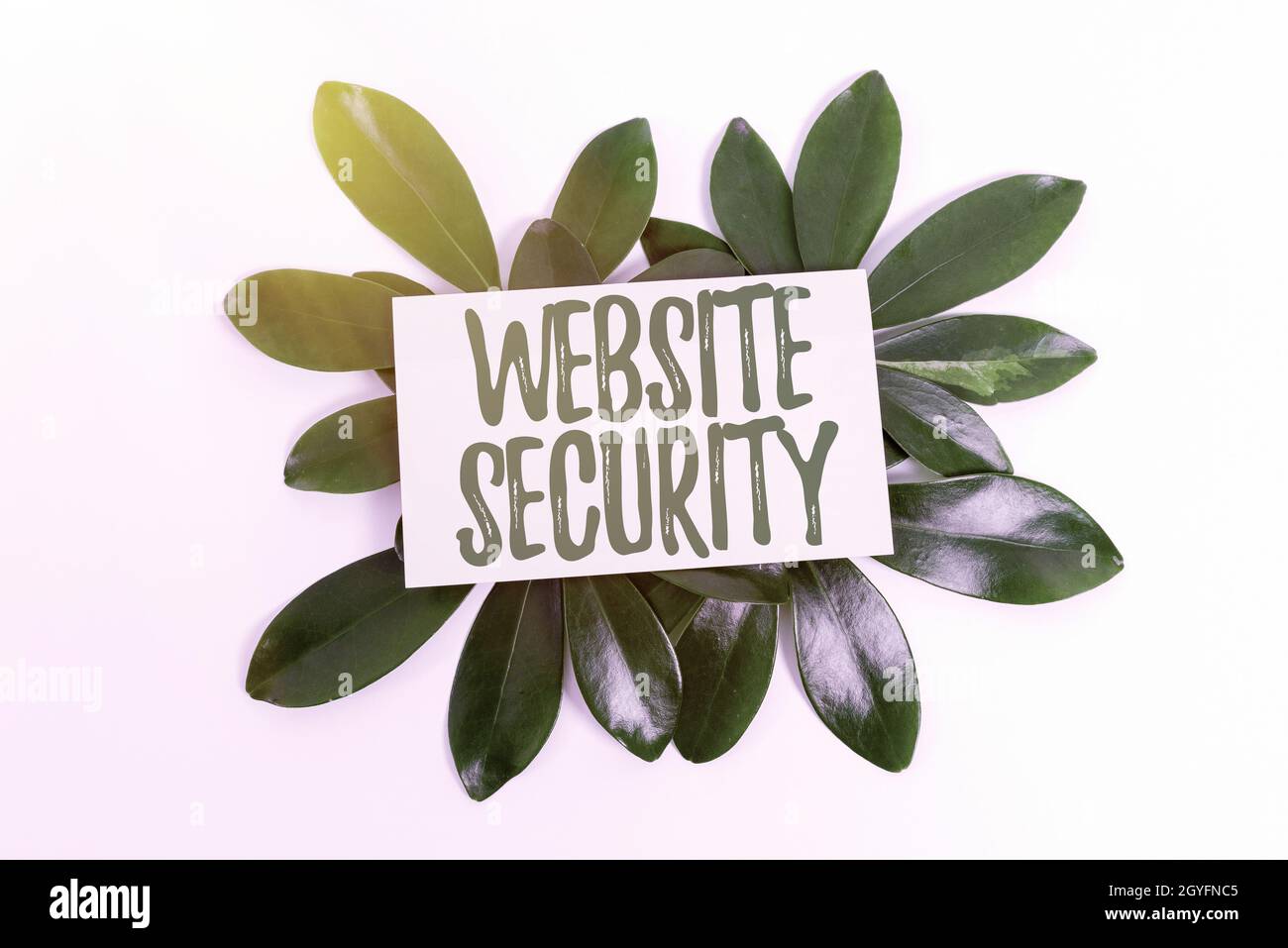 Inspiration montrant le signe sécurité du site Web, approche d'entreprise composant essentiel pour protéger et sécuriser les sites Web nature thème Présentation idées et des Banque D'Images