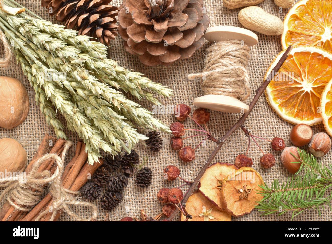 Fleurs séchées pour la créativité des enfants.Matériau naturel pour l'éco-conception.Aucun gaspillage.Emballage écologique pour des cadeaux avec vos propres mains. Banque D'Images