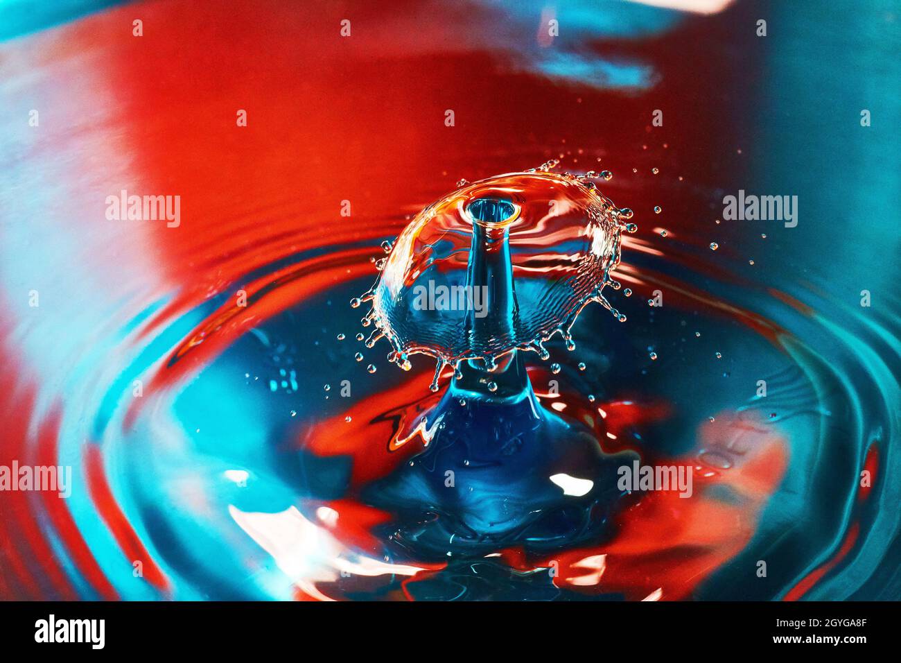 Eau bleue et rouge avec des ondulations et des éclaboussures provenant de deux gouttes d'eau qui frappent dans l'air Banque D'Images