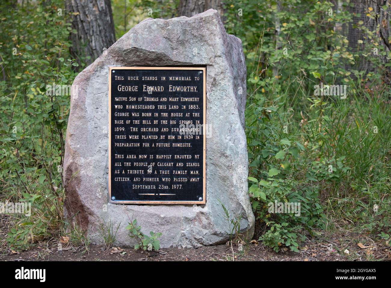 Plaque commémorative sur le rocher en hommage à George Edward Edworthy, un pionnier de l'Ouest canadien qui a cultivé les terres maintenant protégées comme Edworthy Park à Calgary Banque D'Images