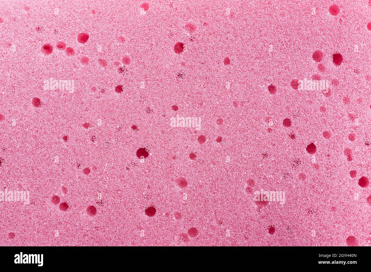 texture de l'éponge rose.Gros plan, photo macro. Banque D'Images