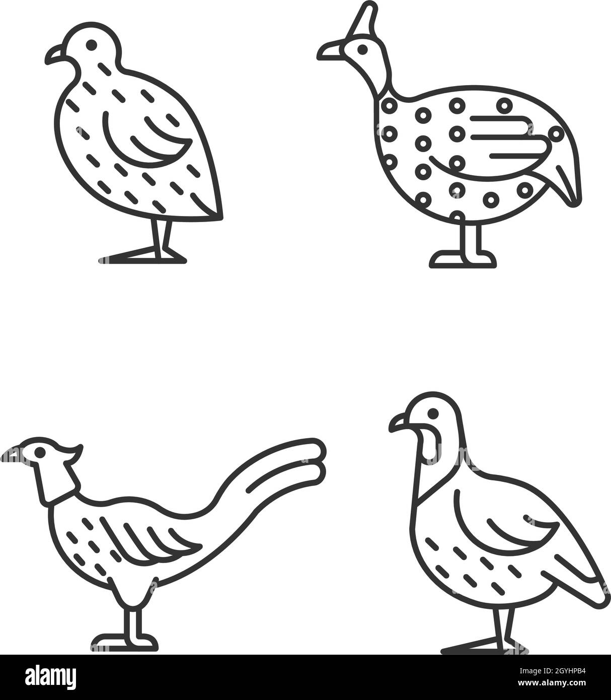 Ensemble d'icônes linéaires Landfowl Illustration de Vecteur