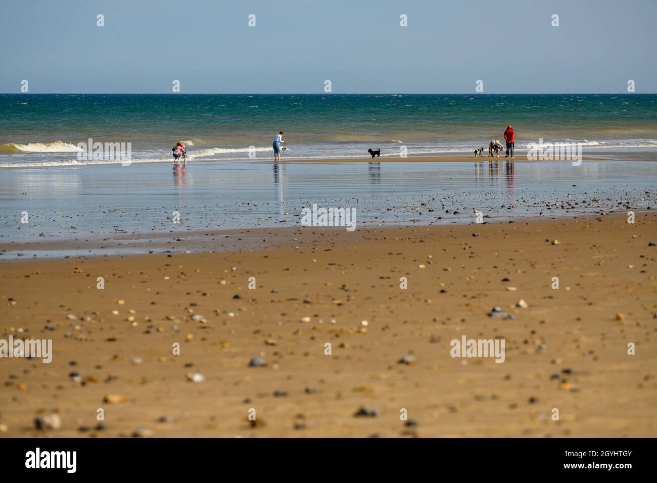 Les gens qui marchent leurs chiens et s'amusent au soleil sur la plage de Mundesley, Norfolk, Angleterre. Banque D'Images