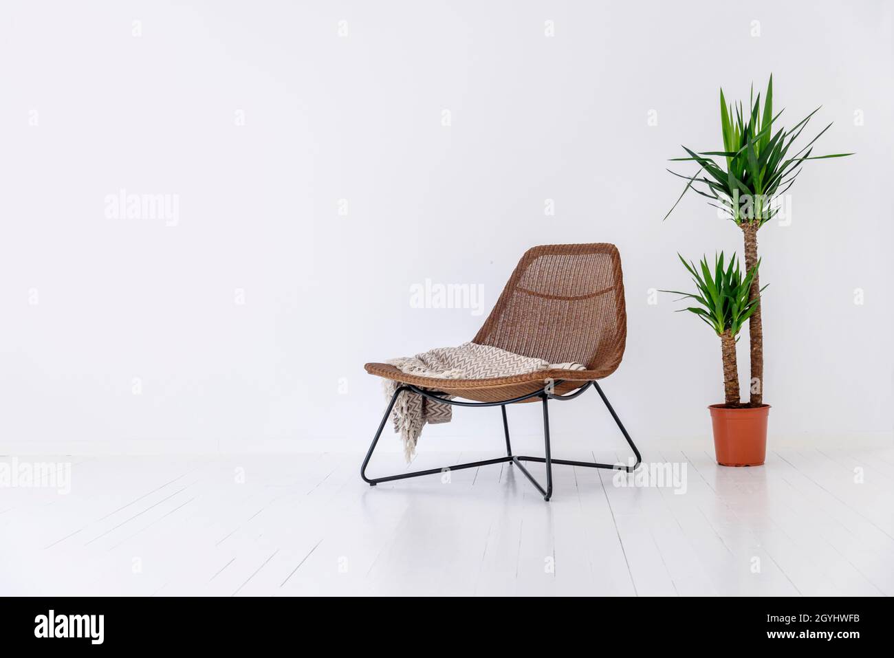 Chaise moderne et plante de maison dans la pièce blanche vide.Décoration intérieure contemporaine.Idée de style immobilier de luxe minimaliste. Banque D'Images