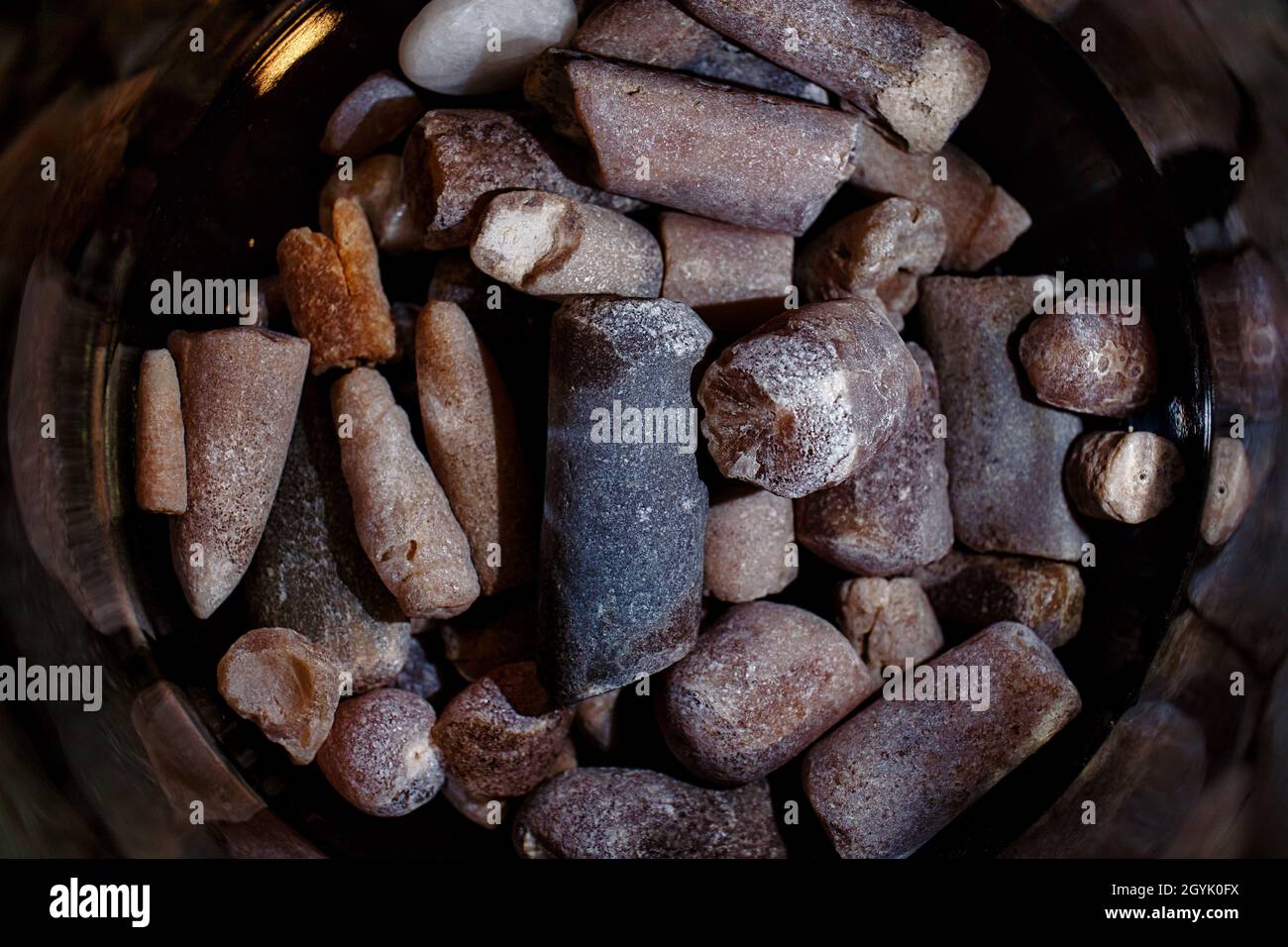 coquillages fossiles de calmars primitifs Banque D'Images