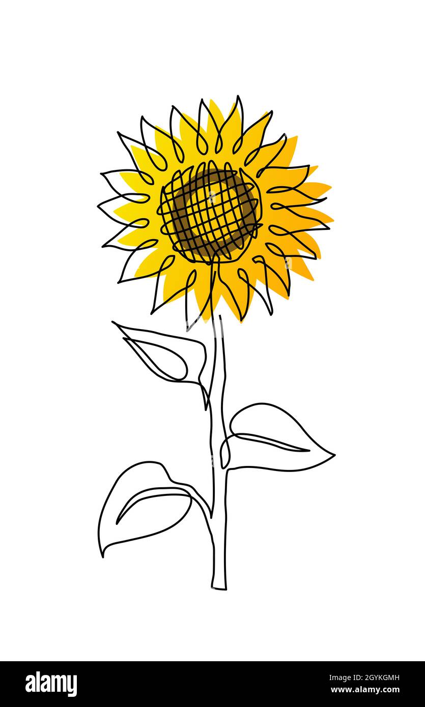 Illustration d'une simple ligne vectorielle de tournesol.Un dessin d'art en ligne de tournesol Illustration de Vecteur