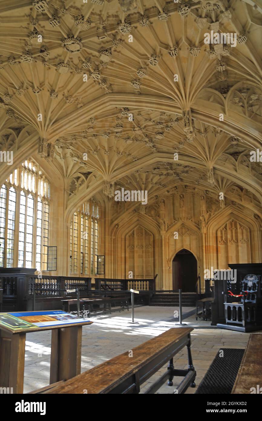 Divinity School, Old Bodleian Library, Oxford Banque D'Images