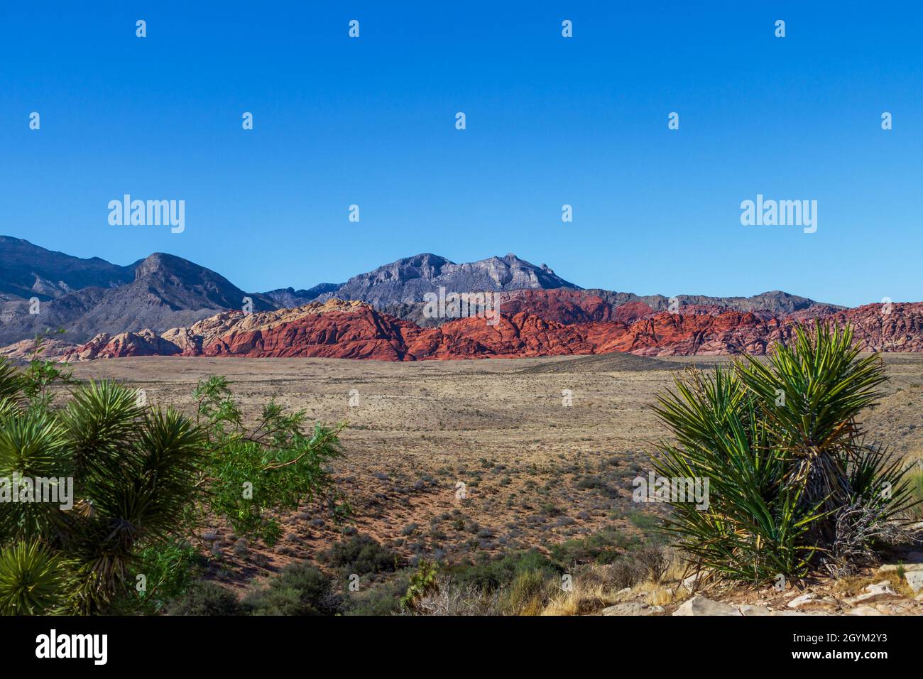 Vue panoramique de la zone naturelle nationale de Red Rock Canyon dans le sud du Nevada Banque D'Images