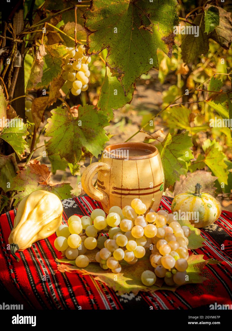 toujours la vie avec les raisins et le stum dans le vignoble Banque D'Images