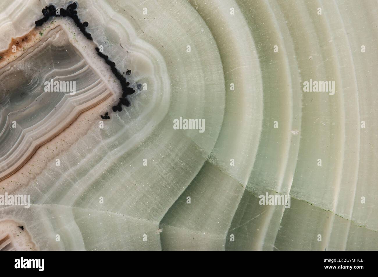 Photo macro de l'agate de pierre semi-précieuse poli texturé.Arrière-plan abstrait. Banque D'Images