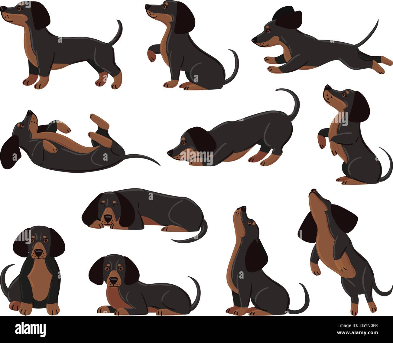 Mignon dessin animé dachshund chien race dans diverses poses.Dachshund adorable personnage dormant, marchant, jouant scénario ensemble.Dachshund domestique Illustration de Vecteur