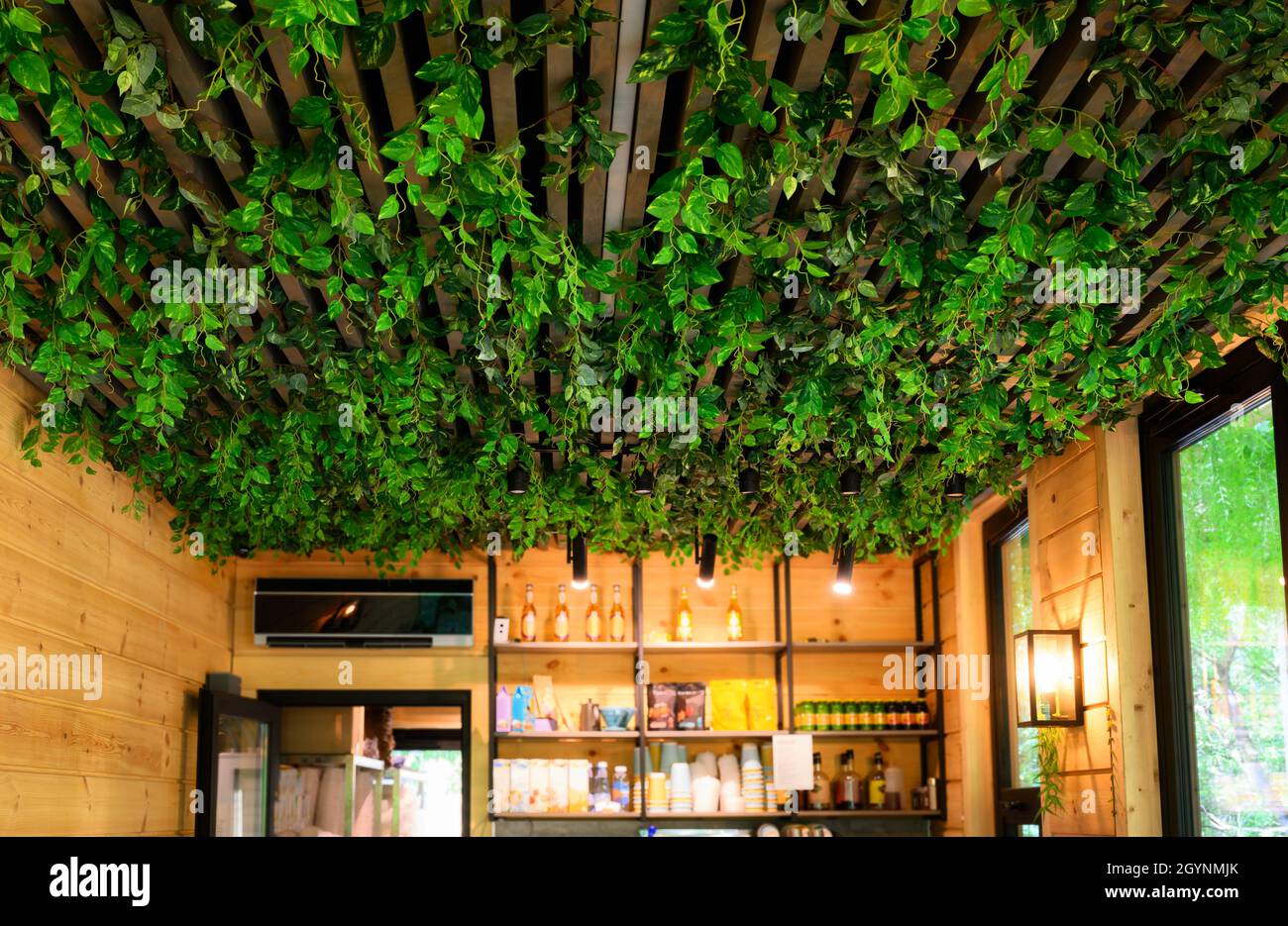 Intérieur avec aménagement paysager du plafond dans le café et la maison, jardin vertical à l'intérieur de la boutique.Conception avec plantes vertes à l'intérieur.Aménagement moderne du bureau ou Banque D'Images