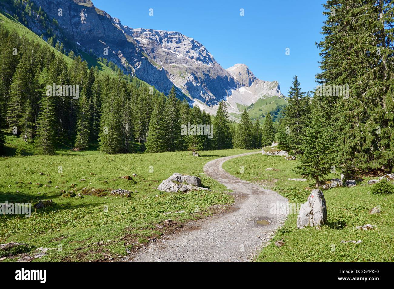 Paysage de montagne suisse typique à Iffigenalp au-dessus de Lenk en Suisse Banque D'Images