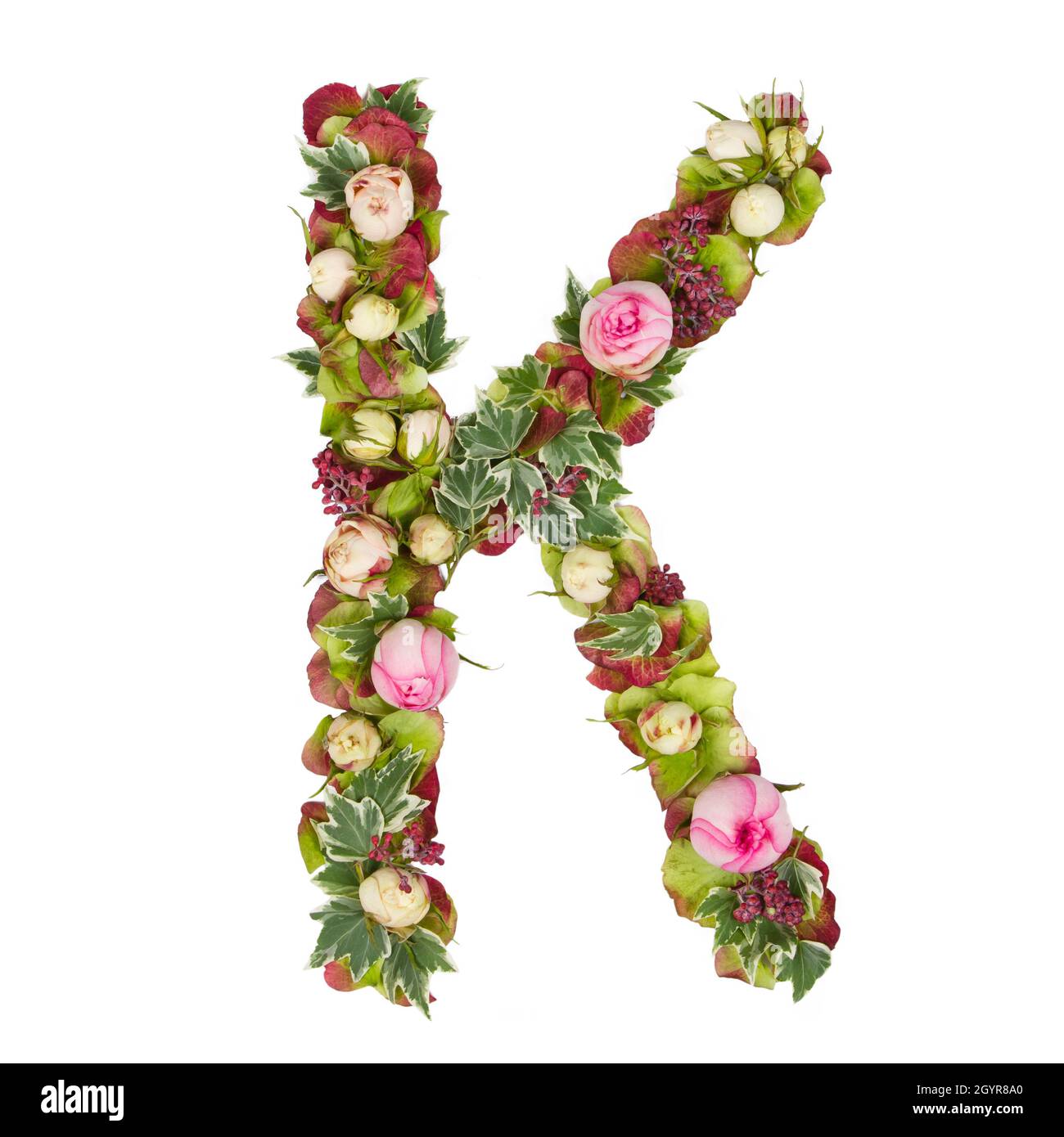 Lettre majuscule K partie d'un ensemble de lettres, de chiffres et de symboles de l'Alphabet fait avec des fleurs, des branches et des feuilles sur fond blanc Banque D'Images
