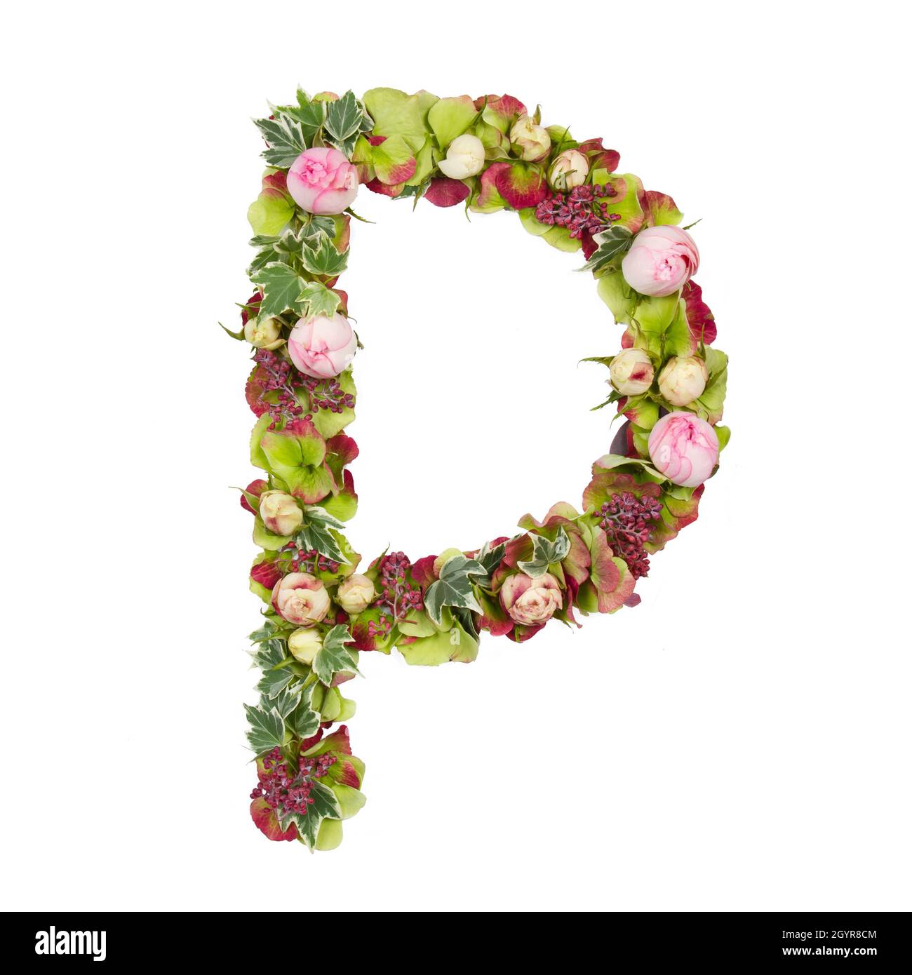 Lettre majuscule P partie d'un ensemble de lettres, de chiffres et de symboles de l'alphabet, faits de fleurs, de branches et de feuilles sur fond blanc Banque D'Images