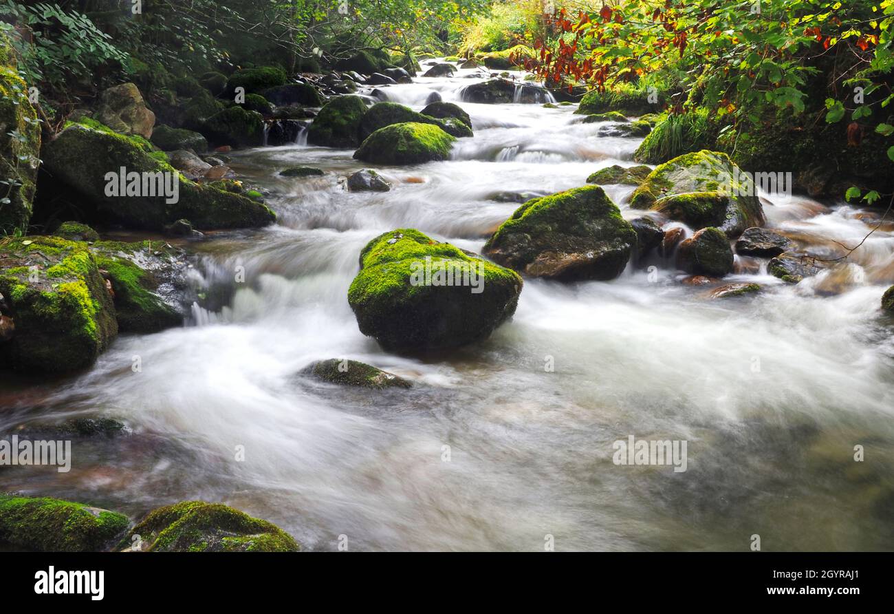 Clear Mountain Stream en été - flou de mouvement Banque D'Images