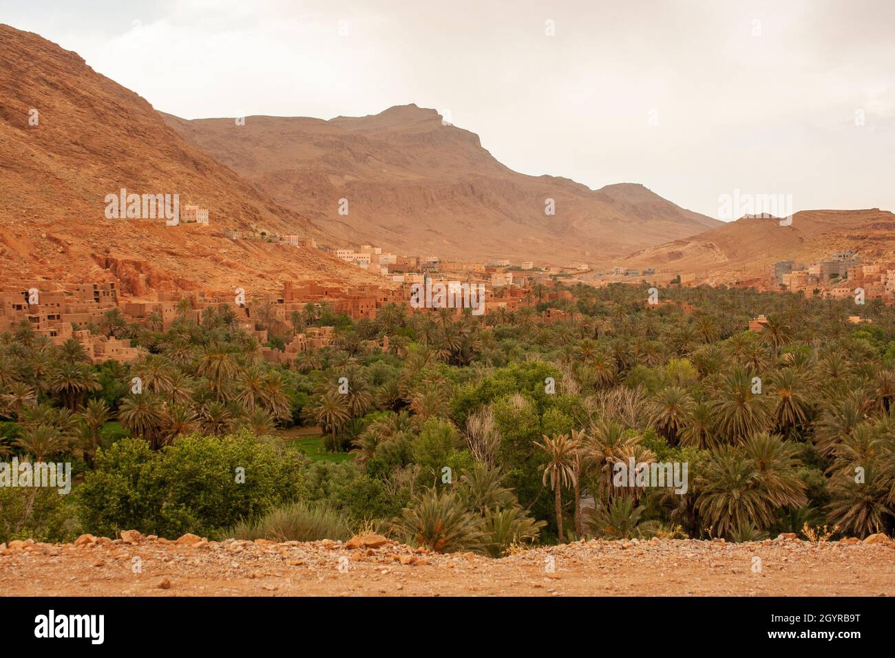 Oasis et paysage du désert du Sahara photographiés au Maroc Banque D'Images