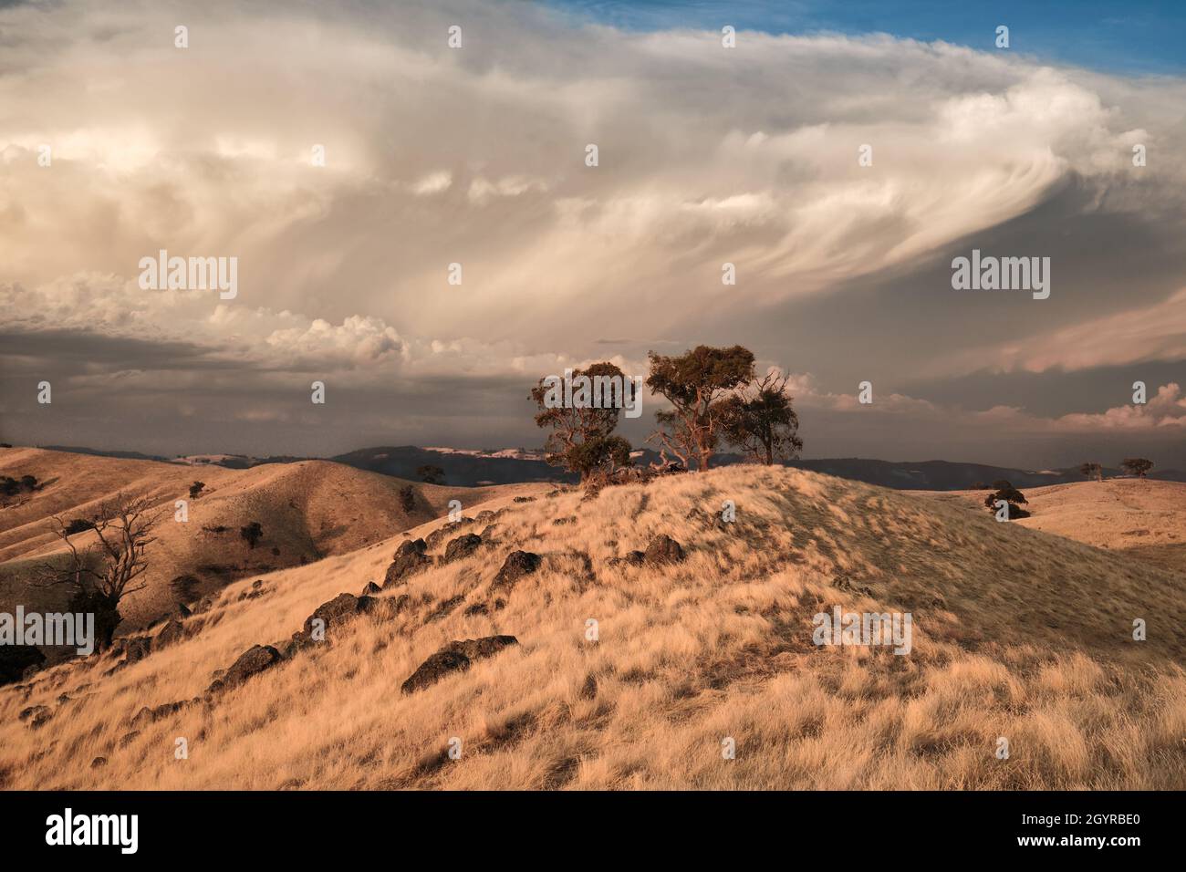Sous Un ciel de grande taille Banque D'Images