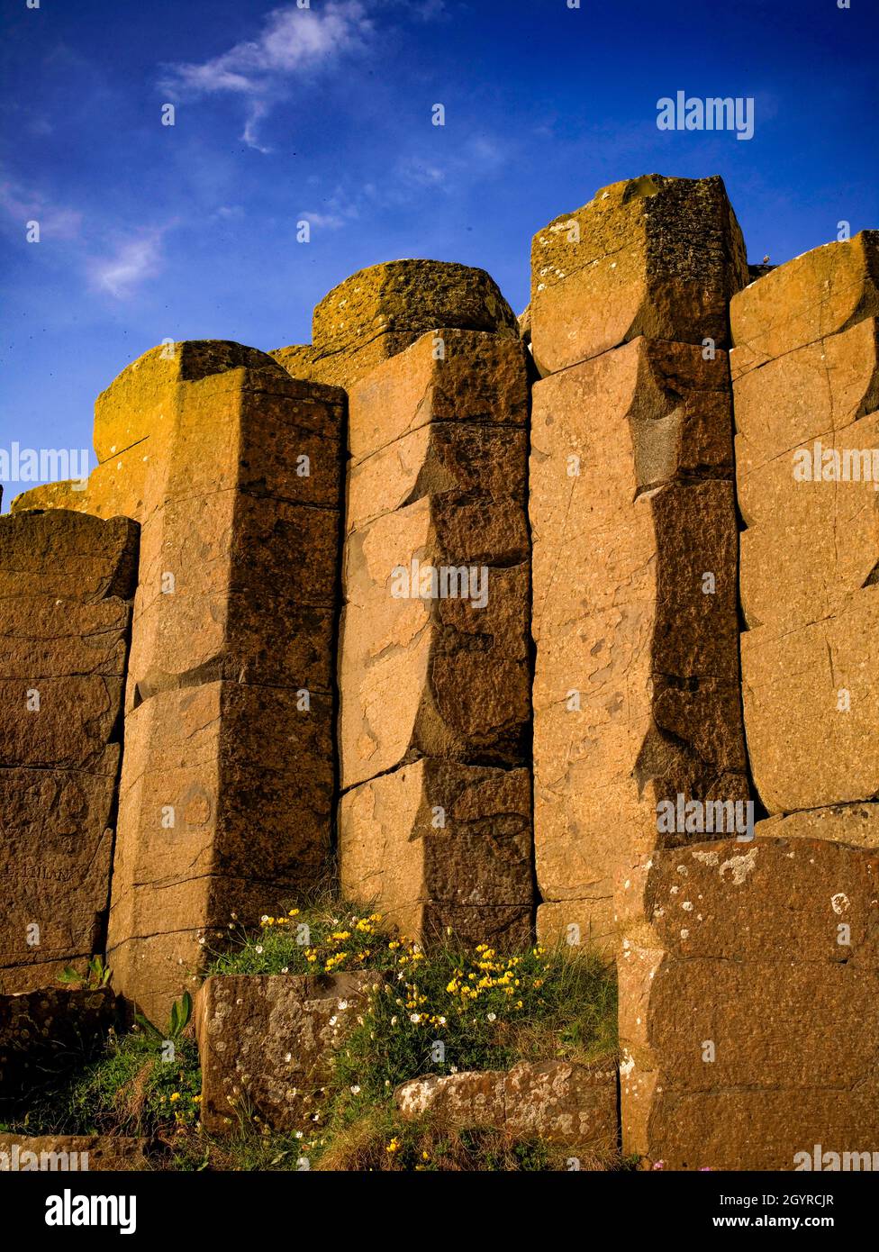 Le site du patrimoine mondial de l'UNESCO, Giants Causeway, North Coast, County Antrim, Irlande du Nord Banque D'Images