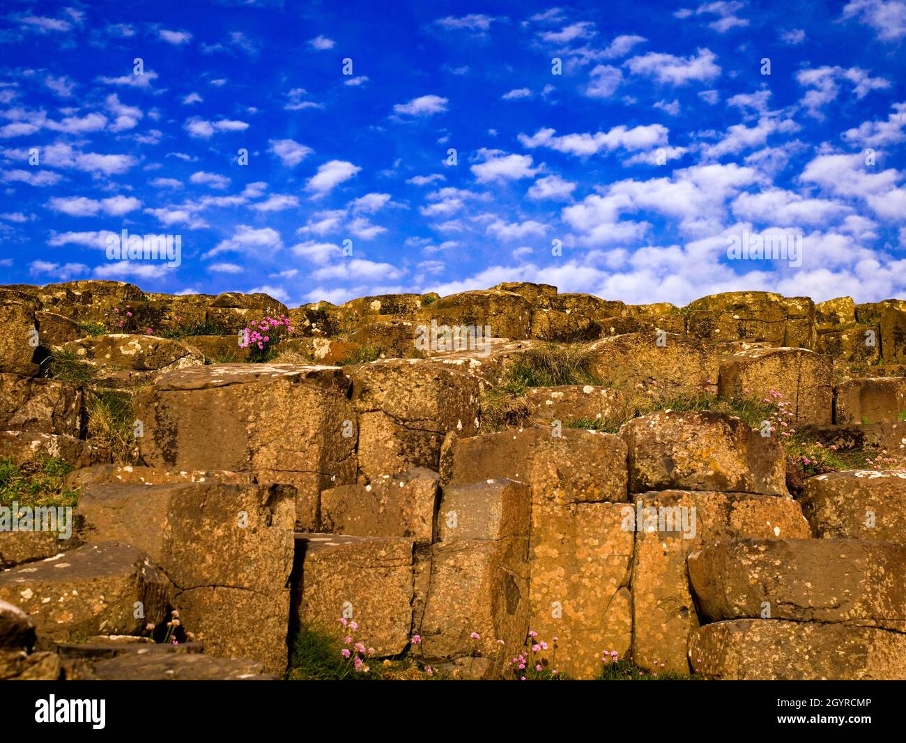 Le site du patrimoine mondial de l'UNESCO, Giants Causeway, North Coast, County Antrim, Irlande du Nord Banque D'Images