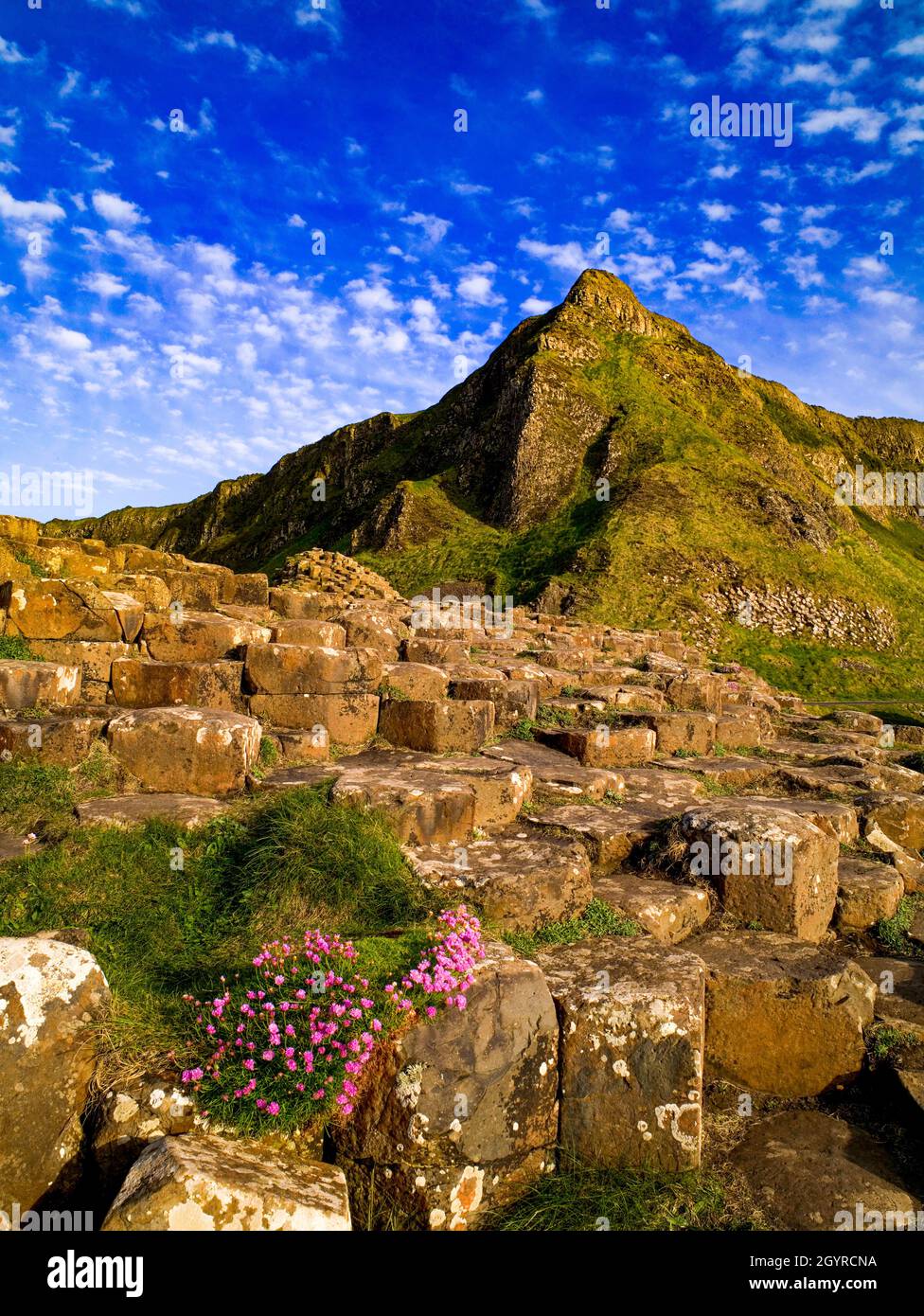 Le site du patrimoine mondial de l'UNESCO, Giants Causeway, North Coast, County Antrim, Irlande du Nord Banque D'Images