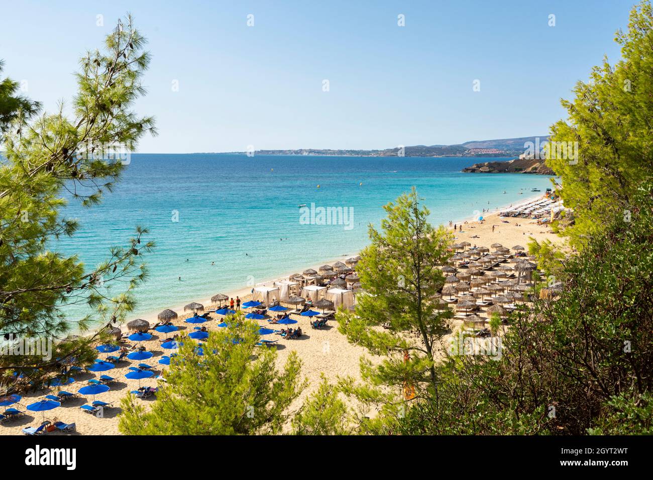 Vue sur la plage de Makris Gialos à travers les arbres, près d'Argostoli, Kefalonia, Iles Ioniennes, Grèce Banque D'Images